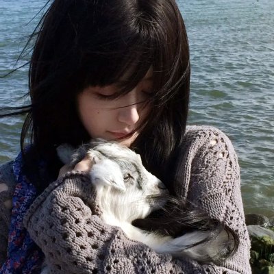 女巡特警之蜂鸟突击队