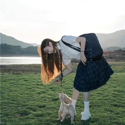 怪猫